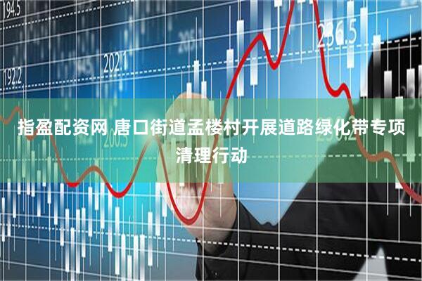 指盈配资网 唐口街道孟楼村开展道路绿化带专项清理行动