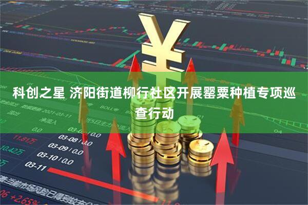 科创之星 济阳街道柳行社区开展罂粟种植专项巡查行动