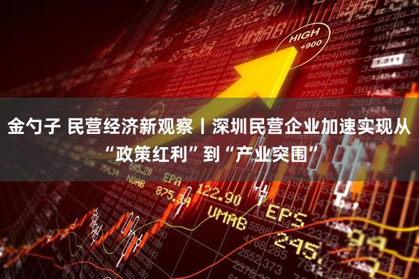 金勺子 民营经济新观察丨深圳民营企业加速实现从“政策红利”到“产业突围”