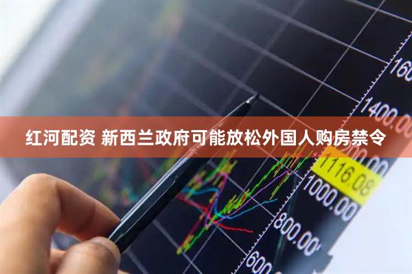 红河配资 新西兰政府可能放松外国人购房禁令