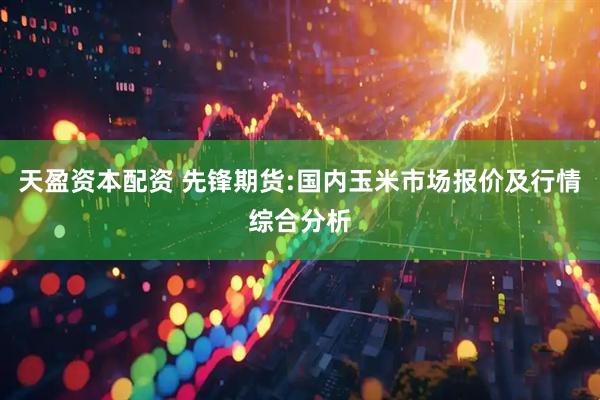 天盈资本配资 先锋期货:国内玉米市场报价及行情综合分析